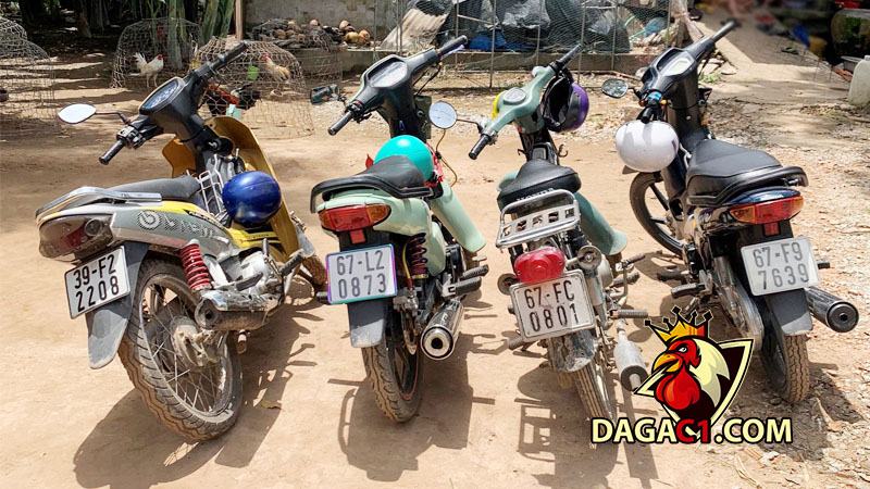 Mật phục bắt giữ 11 đối tượng đá gà ăn tiền giữa mùa dịch 2/10/2021- DAGAC1.COM - Đá gà trực tiếp