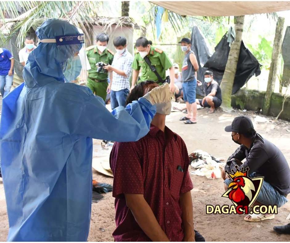 Tiền Giang: Bắt quả tăng 13 đối tượng đá gà ăn thua bằng tiền 29/11/2021 – DAGAC1.COM – Đá gà trực tiếp