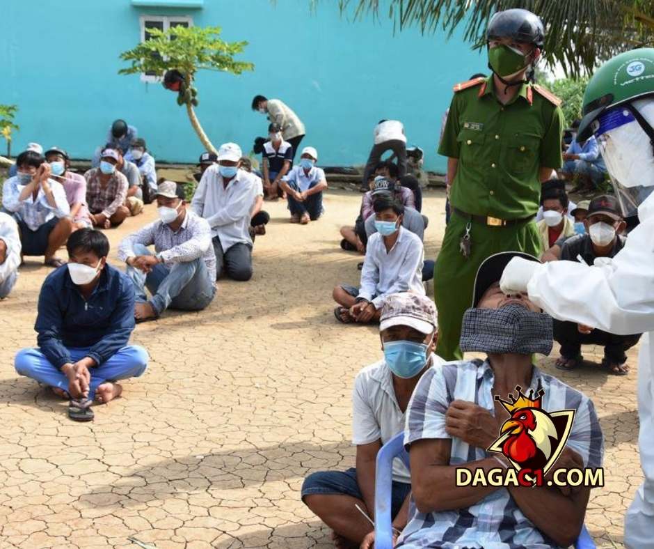 Tiền Giang: Triệt phá trường gà, tạm giữ 47 người, phát hiện con bạc nhiễm Covid-19 – DAGAC1.COM – Đá gà trực tiếp