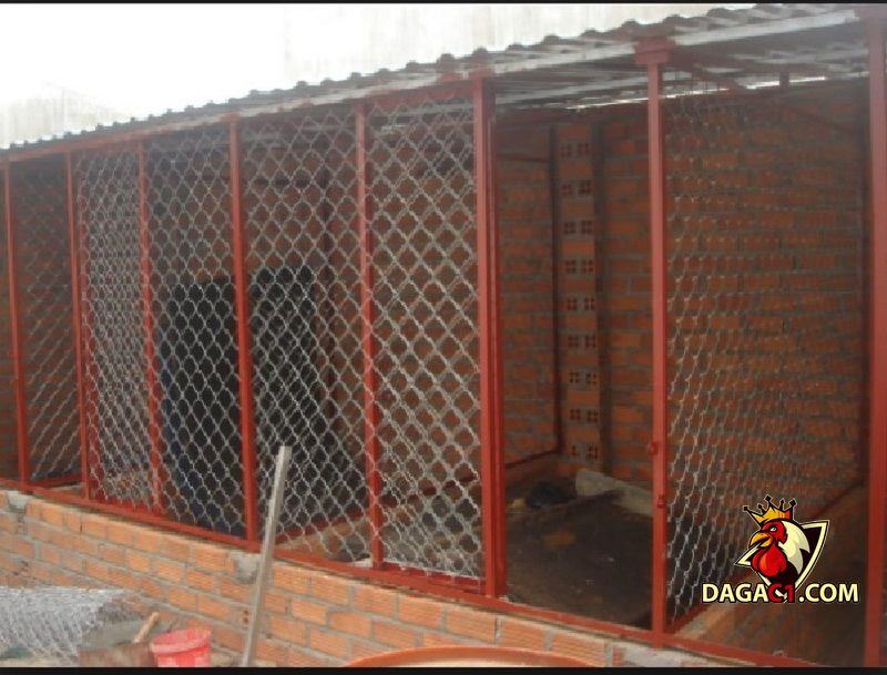 cách làm chuồng gà đá