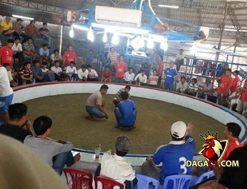 đá gà campuchia thomo trực tiếp