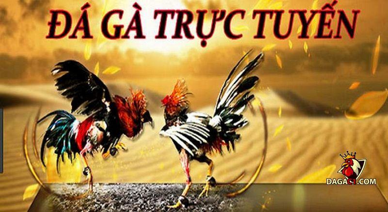 đá gà online Campuchia mới nhất