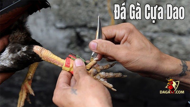 đá gà online Campuchia mới nhất