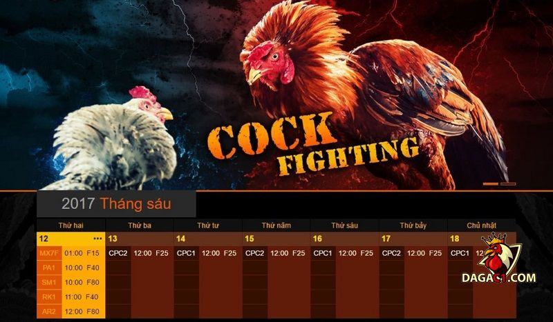 Đá gà trực tuyến trên mạng