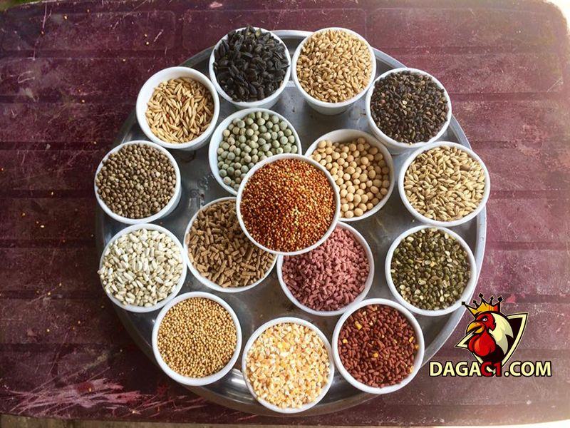 thức ăn cho gà đá