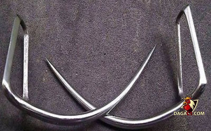 Cách mài cựa gà