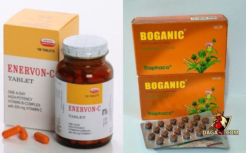 cách nuôi gà đá bị suy
