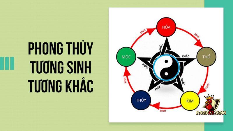 Màu mạng xem ngày tốt để đi đá gà