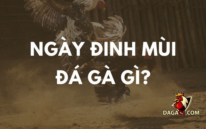 Ngày đinh mùi đá gà gì