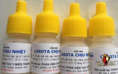 vacxin Lasota chịu nhiệt có tác dụng gì