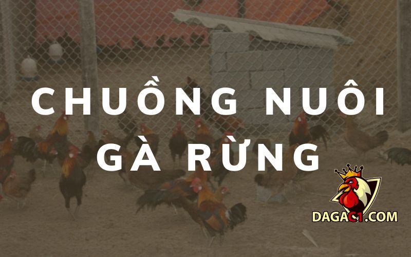 Cách làm chuồng nuôi gà rừng