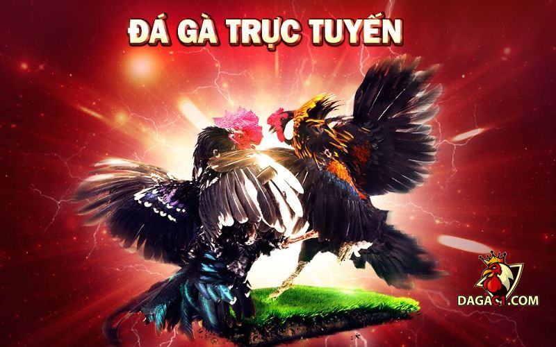 Giới thiệu DagaC1
