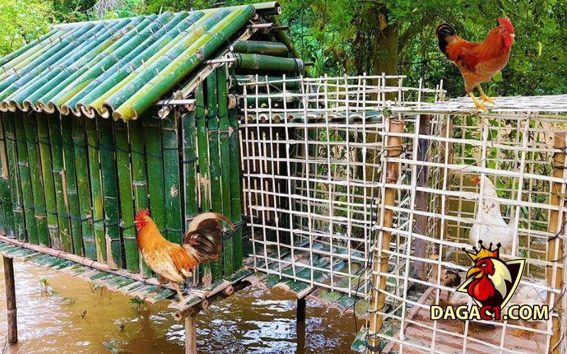 làm chuồng gà bằng tre
