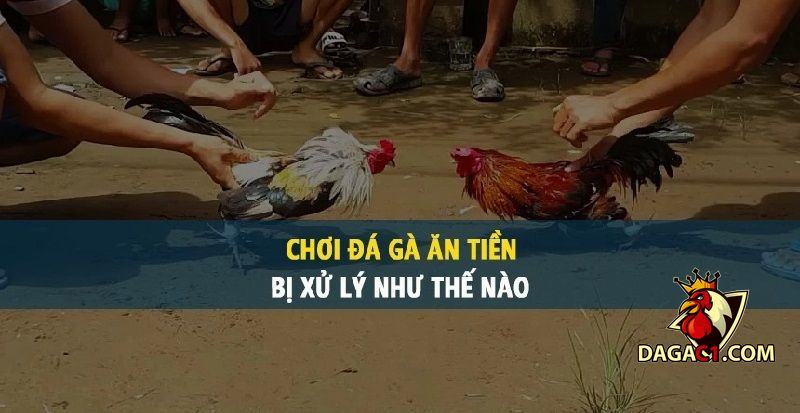 đá gà việt