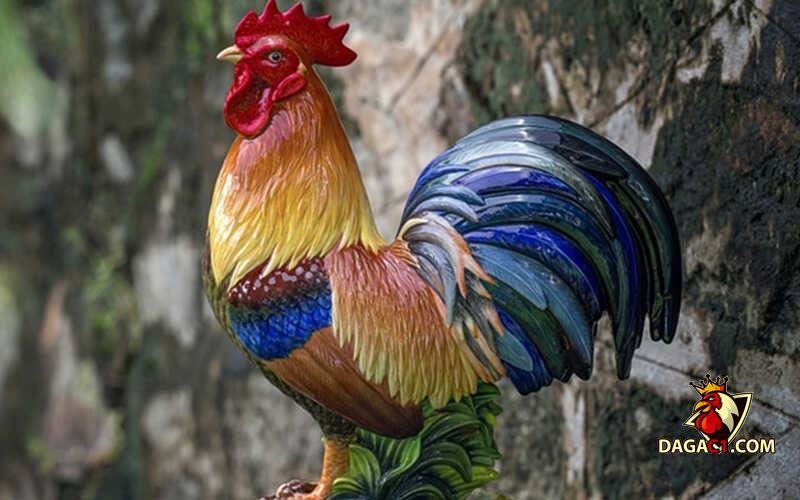 Gà phong thủy cải vận