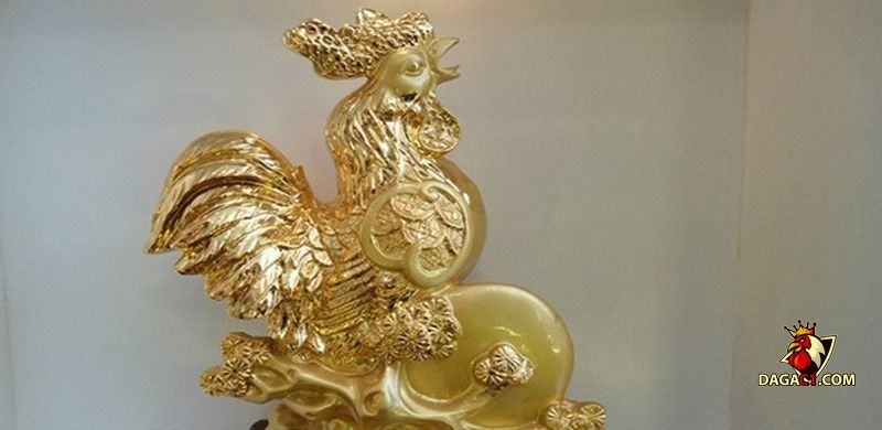 Gà phong thủy cải vận