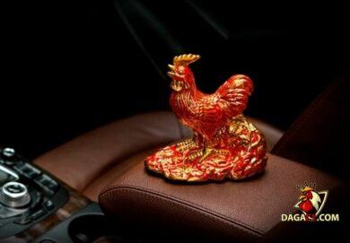 gà phong thủy hợp màu gì