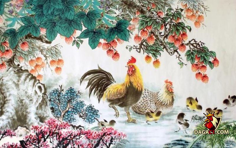 Hình gà phong thủy