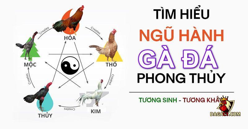 mùng gà