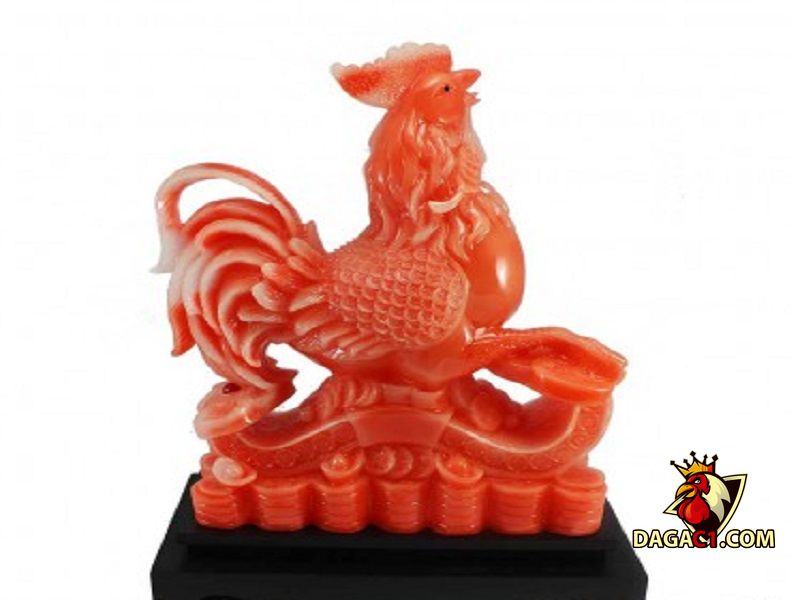nơi bán gà phong thủy
