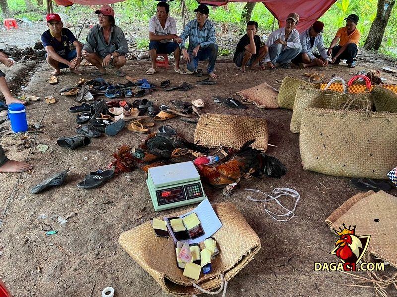 Bắt nhóm đối tượng tham gia đá gà ăn thua bằng tiền