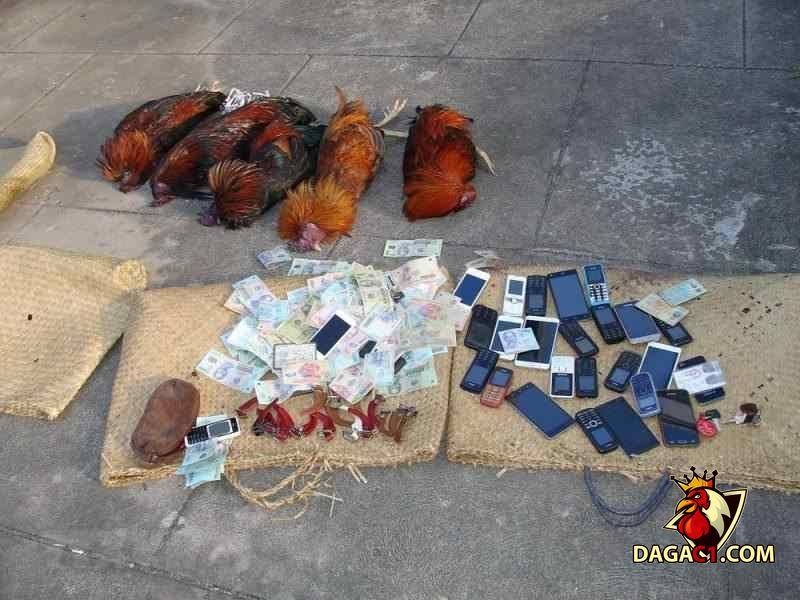 Các hiện vật, tang chứng thu giữ tại hiện trường