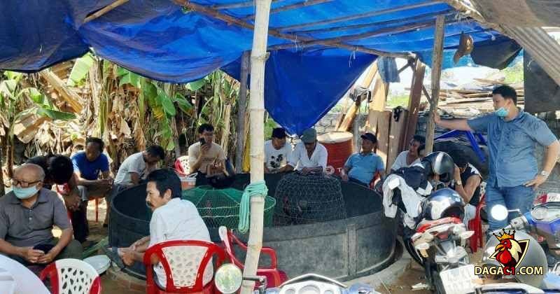 Nhóm đối tượng tham gia đá gà tại Đà Nẵng