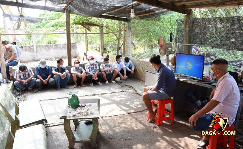 Quá trình điều tra tại các tụ điểm đá gà ngày càng khó khăn với hoạt động tinh vi hơn