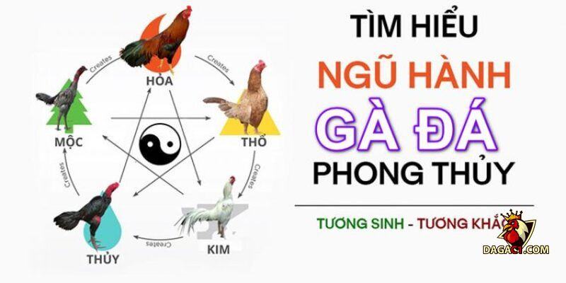 Xem ngày đá gà ra trận