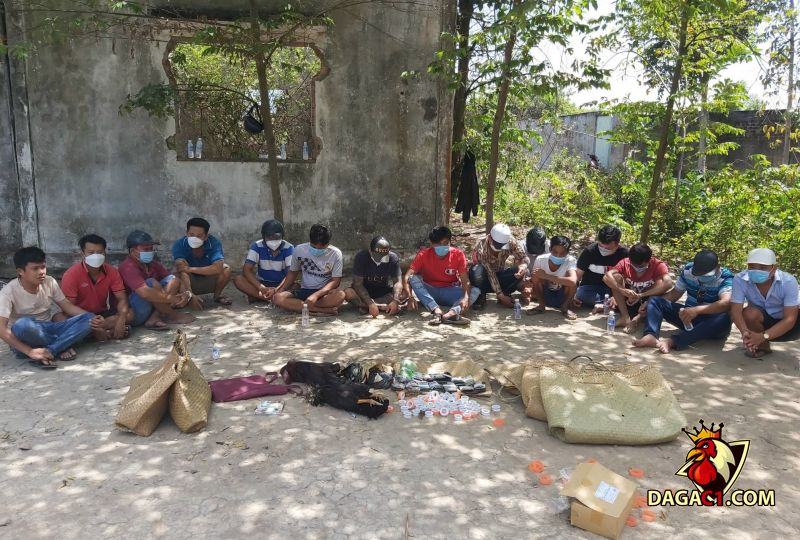 Đột kích, vây bắt nhiều đối tượng tham gia hoạt động đá gà