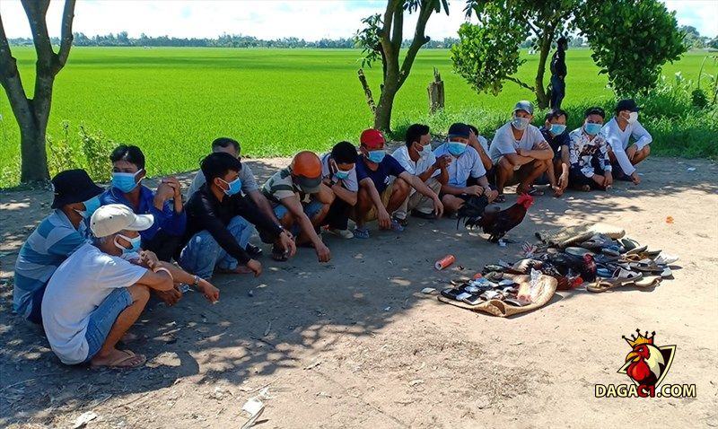 Triệt xóa và vây bắt thành công 43 đối tượng tham gia đá gà tại quán cà phê