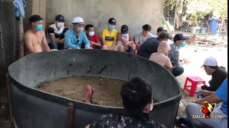 Hoạt động đá gà được diễn ra với thủ đoạn tinh vi nhằm che mắt công an