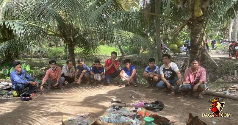 Nhóm đối tượng tham gia đá gà quy mô khủng tại Kiên Giang