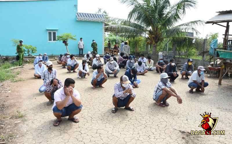 Tạm giam các đối tượng tham gia đá gà sau thời gian truy bắt