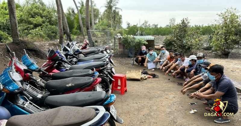 Đối tượng tham gia đá gà tại Long An thời điểm bị công an vây bắt