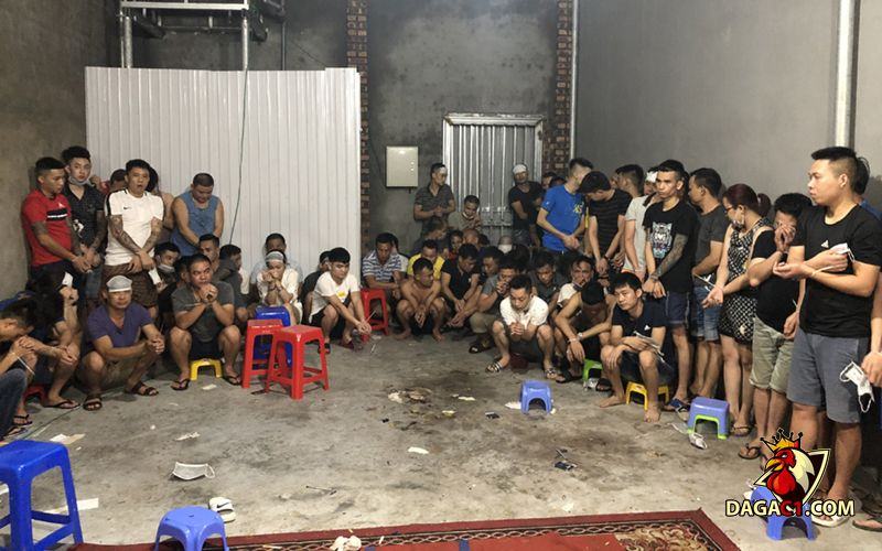 Phương thức hoạt động của nhóm tội phạm đá gà ngày càng tăng cao