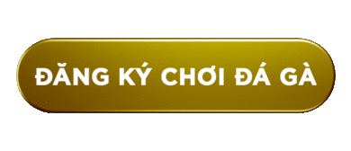 button-dang-ky-choi-da-ga