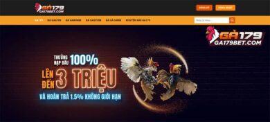 Gioi-thieu-ve-bo-mon-da-ga-Thomo-tai-GA179-cuc-hap-dan
