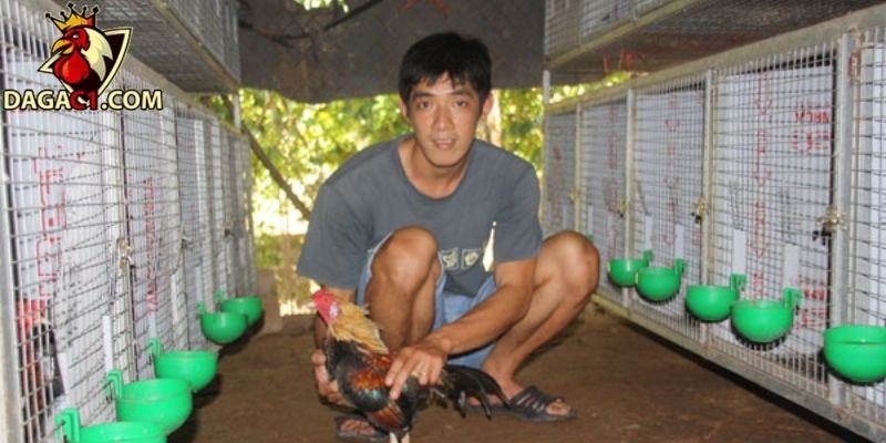 Cách chữa chân gà bị phồng chân hoặc lạnh chân