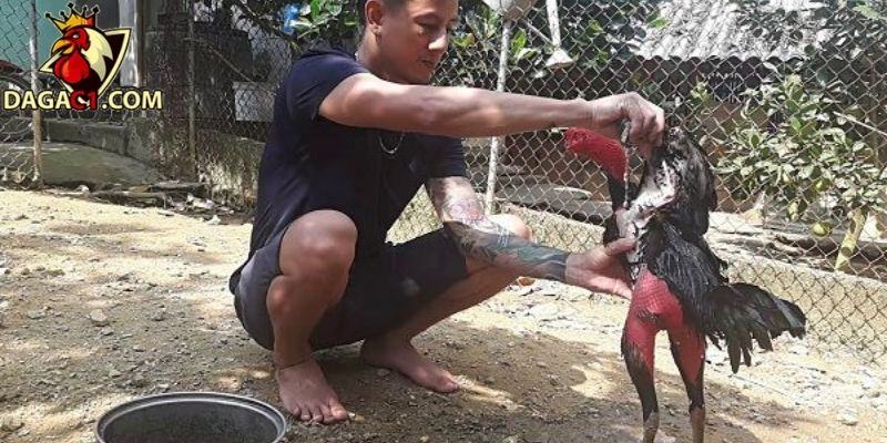 Kỹ thuật đánh tay thường xuyên