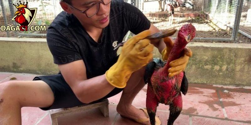 Đánh tay, om bóp kết hợp