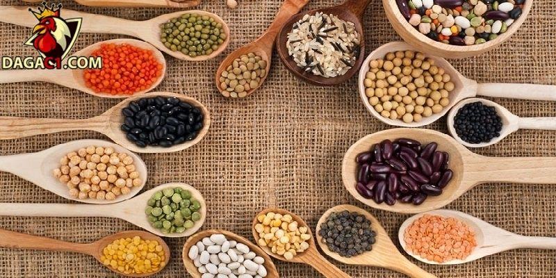 Trộn ngũ cốc giúp gà bổ sung dinh dưỡng quan trọng