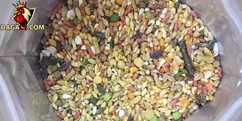 Lợi ích của việc trộn ngũ cốc cho chiến kê của bạn