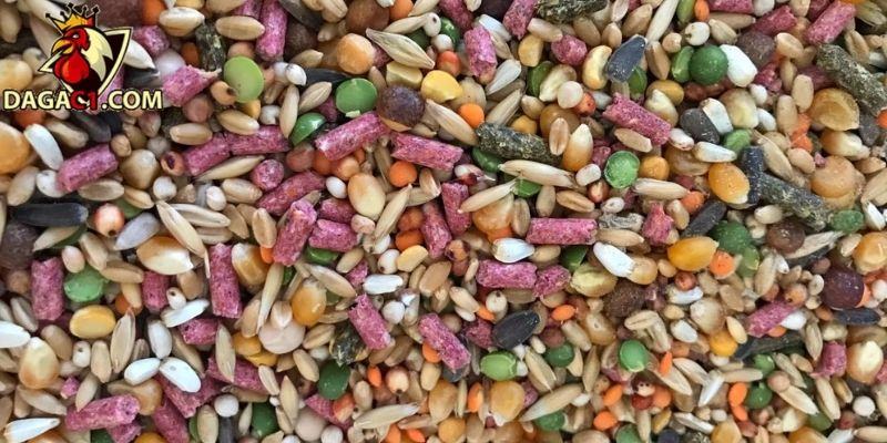 Hãy đảm bảo ngũ cốc được phân phối đều trong khẩu phần ăn